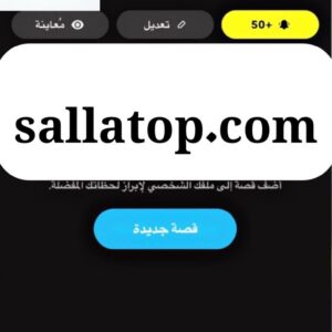 حساب سناب موثق بنجمة عدد المشتركين 442k أجانب 90٪ عرب 10٪